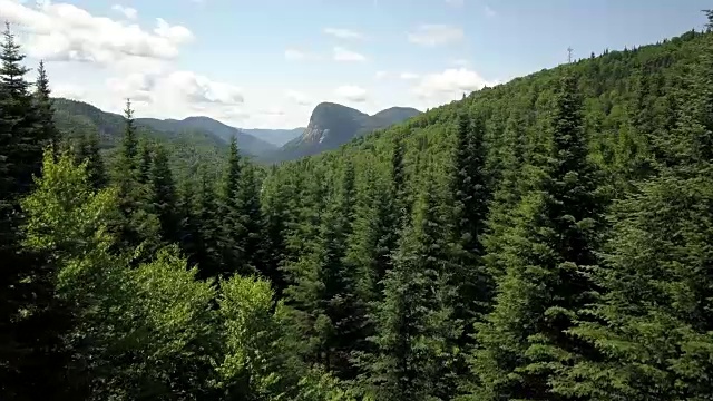 夏季北方自然森林和山地鸟瞰图视频素材