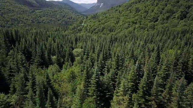 夏季北方自然森林和山地鸟瞰图视频素材