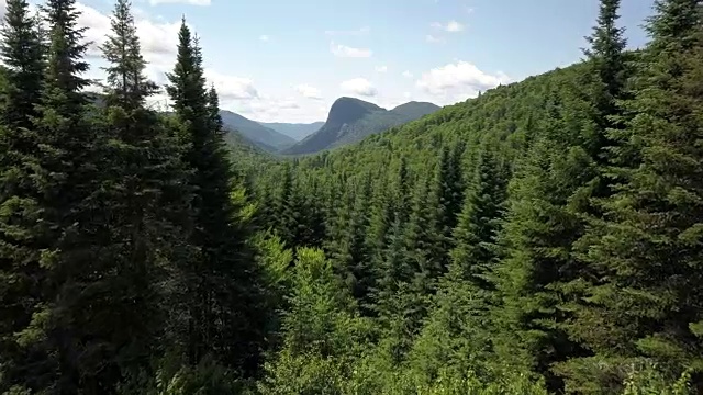 夏季北方自然森林和山地鸟瞰图视频素材