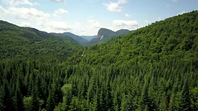 夏季北方自然森林和山地鸟瞰图视频素材