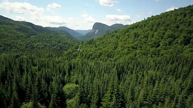 夏季北方自然森林和山地鸟瞰图视频素材