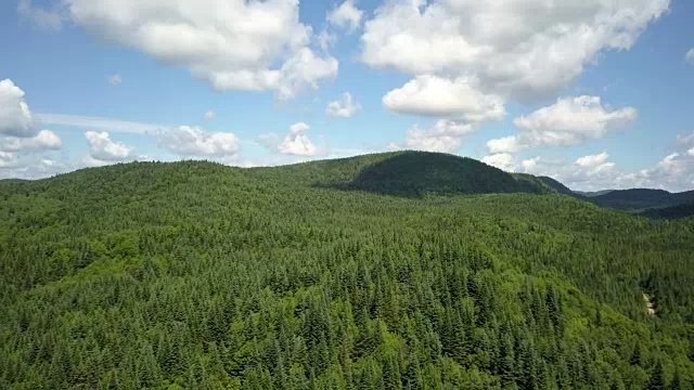 夏季北方自然森林和山地鸟瞰图视频素材