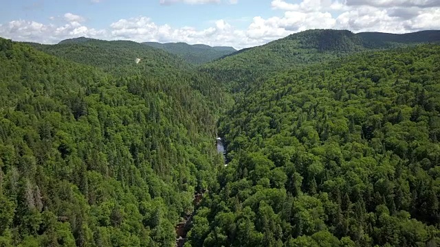 夏季北方自然森林和山地鸟瞰图视频素材