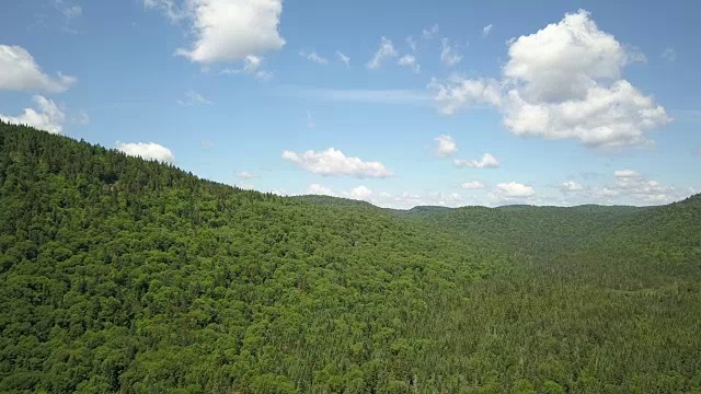 夏季北方自然森林和山地鸟瞰图视频素材