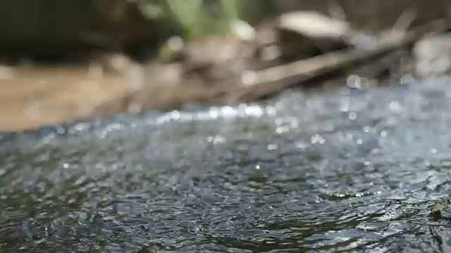 特写水流动在小溪流视频素材