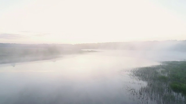 森林湖在晨雾中，沐浴着晨曦中的阳光视频素材