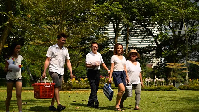 几代同堂的家庭在公园野餐视频素材