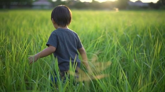 小男孩在高高的草地上奔跑，背光照亮。视频素材