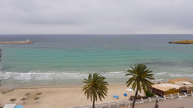 美丽的风景，海岸边的棕榈树和沙滩上的海浪视频素材