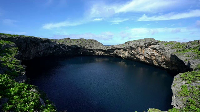 日本冲绳岛的鸟池视频素材