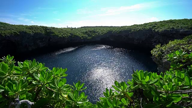 日本冲绳岛的鸟池视频素材