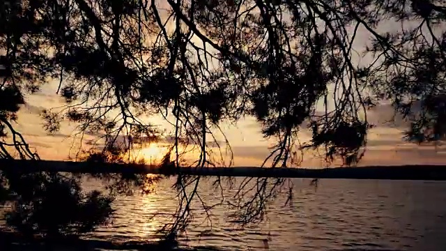 春天的森林和湖泊在夕阳下视频素材