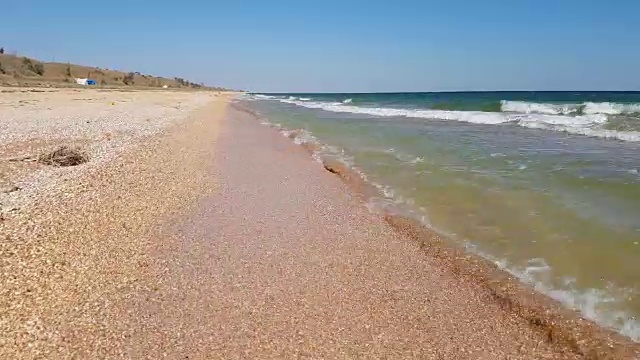 荒无人烟的海岛贝壳海滩视频素材