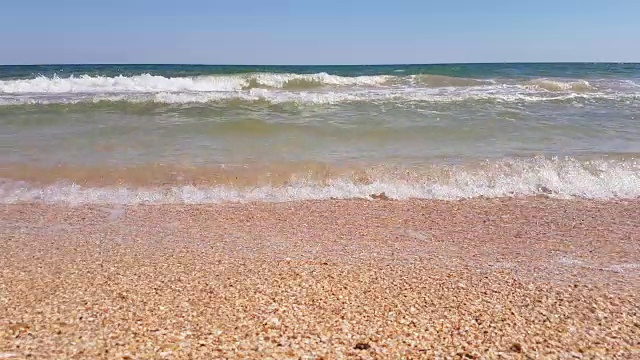 沙滩上的贝壳和海浪，靠近视频素材