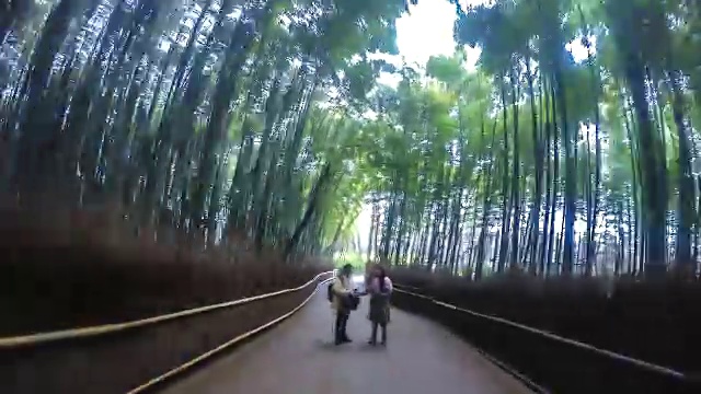 4K，日本京都的岚山竹林瞬间崩塌视频素材