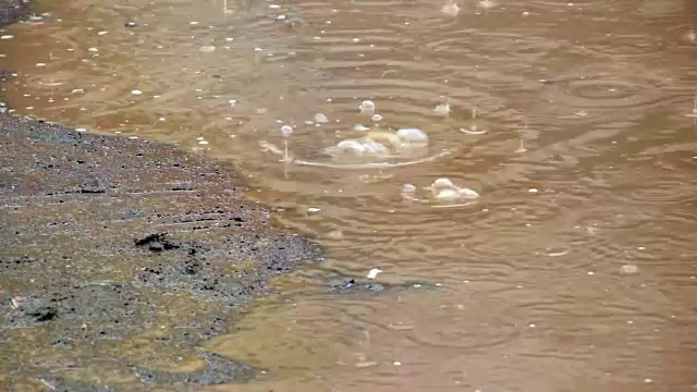 水滴落入湖中。雨滴。视频素材