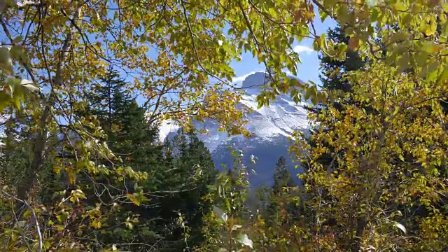 蒙大拿的阳光在金色的树叶和山峰上摇曳视频素材