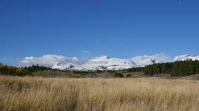 蒙大拿山，草地和月亮视频素材