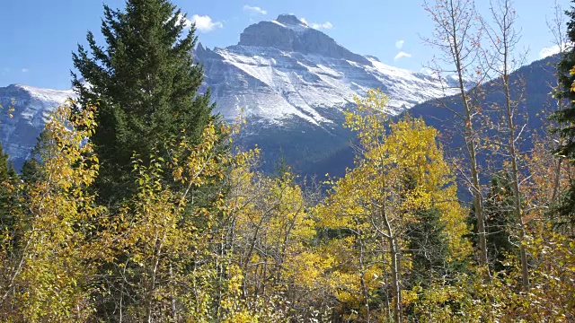 蒙大拿雪山和落叶视频素材