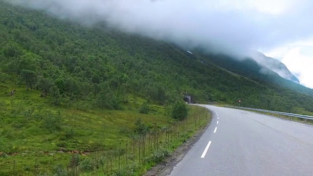 在挪威的路上驾驶汽车。牛挡住了交通的道路。视频素材