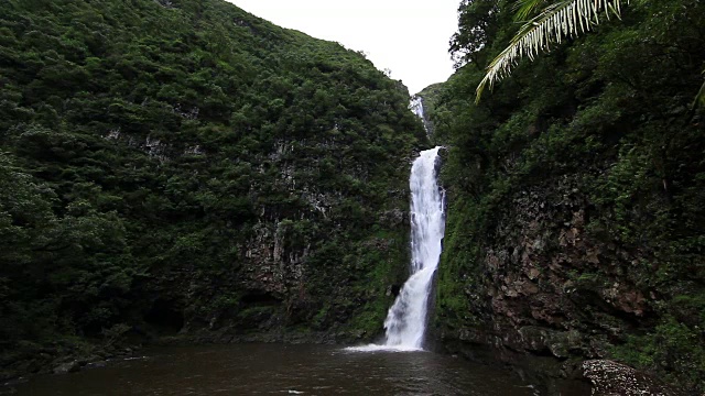 莫洛凯岛视频素材