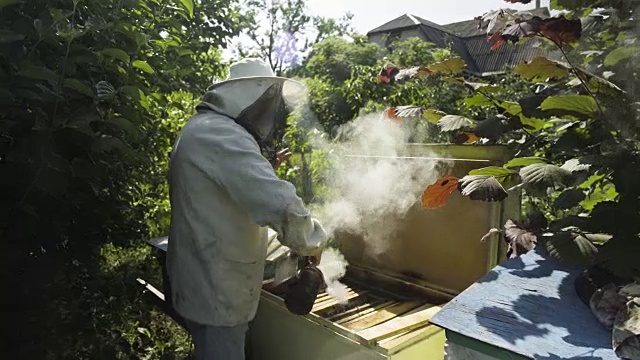 养蜂人用熏蜂器熏蜂箱视频素材