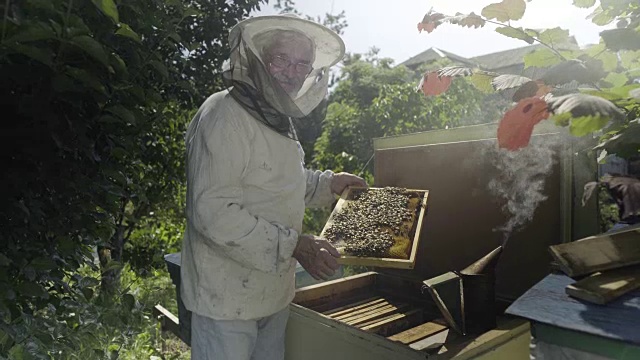 养蜂人拿着蜂巢，站在花园开放的蜂箱附近视频素材