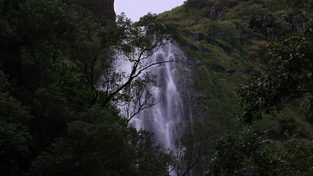 莫洛凯岛视频素材