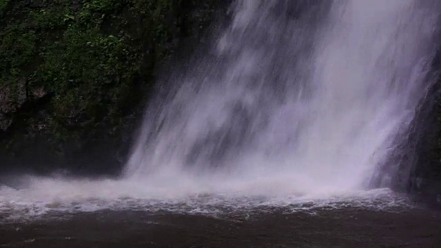 莫洛凯岛视频素材