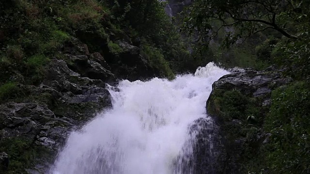 莫洛凯岛视频素材