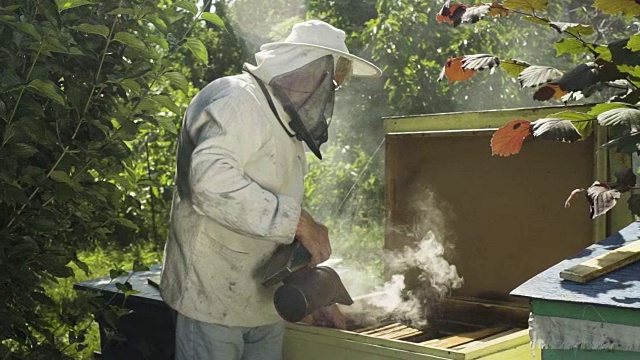 养蜂人戴着保护面罩和帽子，用蜂熏器对蜂房进行熏蒸视频素材