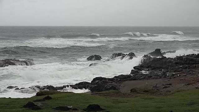 俄勒冈州的鸟飞过汹涌的海浪视频素材