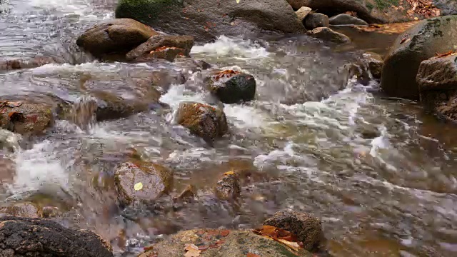 流水伴着岩石和秋叶。伊尔瑟河，伊尔瑟河谷，伊尔森堡，萨克森-安哈尔特，哈尔茨，哈尔茨山，德国。视频素材