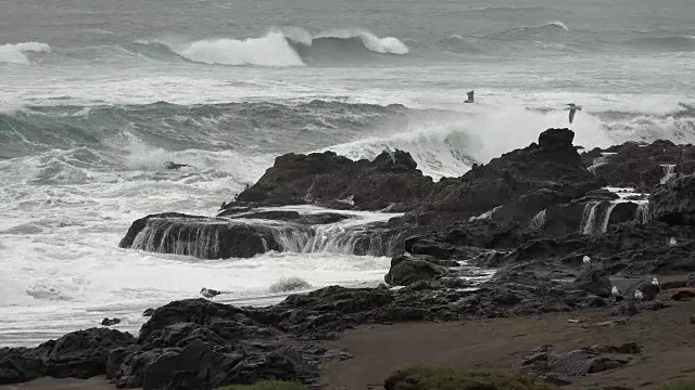 俄勒冈州黑色熔岩和白色海浪视频素材