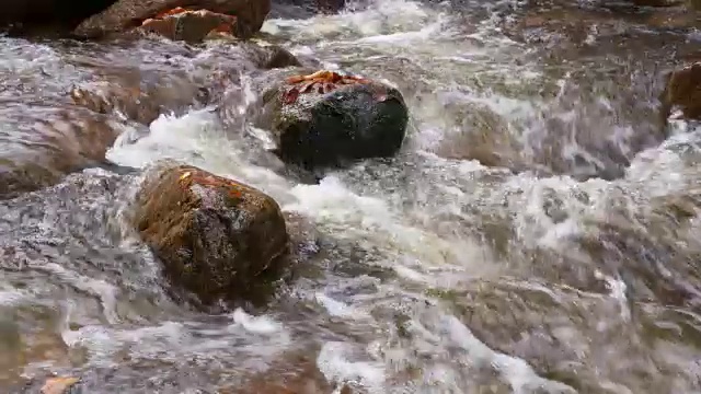 缓慢的运动。流水伴着岩石和秋叶。伊尔瑟河，伊尔瑟河谷，伊尔森堡，萨克森-安哈尔特，哈尔茨，哈尔茨山，德国。视频素材