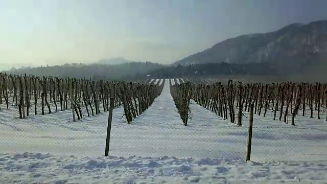 行驶在雪视频素材