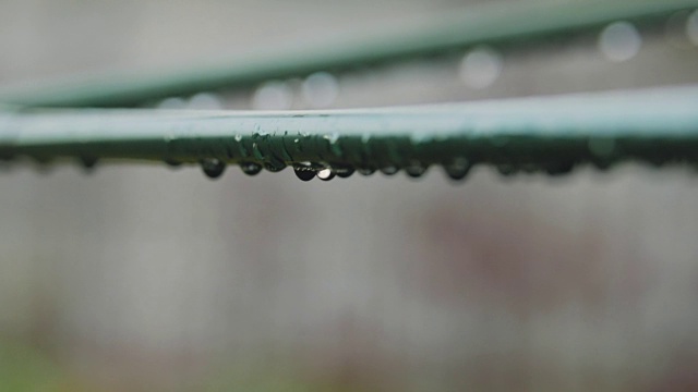 雨水滴视频素材