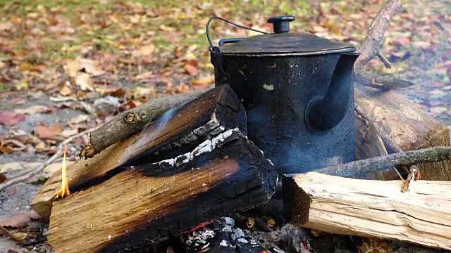 森林里的篝火上烧水壶视频素材