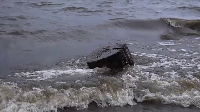 波浪冲刷着水库岸边的老树桩。视频素材