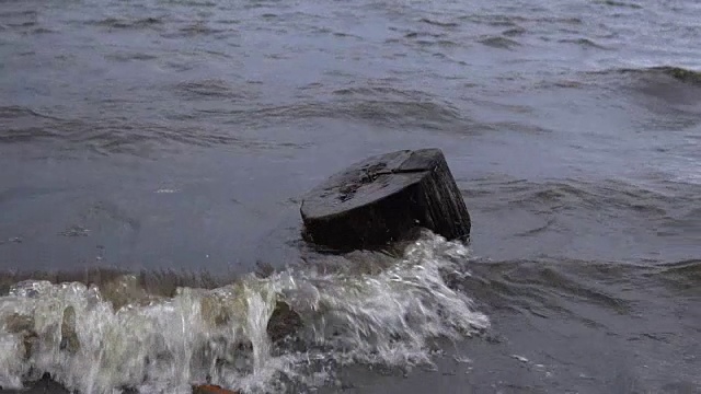 波浪冲刷着水库岸边的老树桩。视频素材