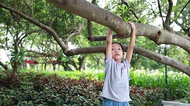 树上的孩子视频素材