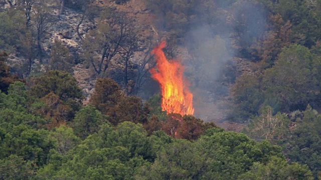 克莉丝汀湖森林火灾玄武岩山科罗拉多州落基山野火烟雾视频素材