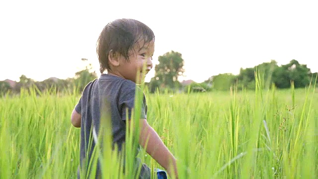 小男孩在高高的草地上奔跑，背光照亮。视频素材