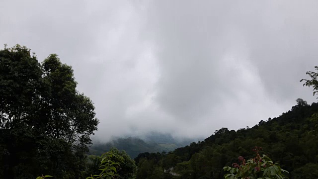 风雨如雨，云移金佛站立视频素材