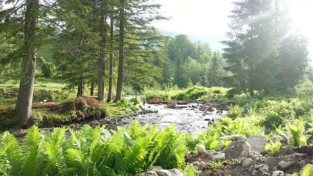 河石山太阳视频素材