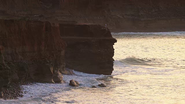 日落时分悬崖上的海鸥视频素材