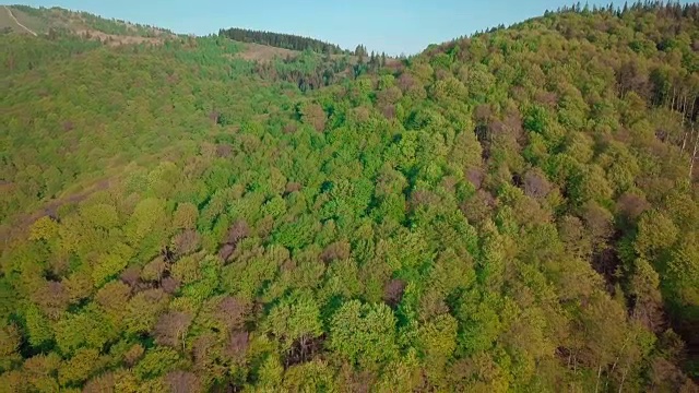 在夏季的日子里，向前走到松林和山谷。欧洲阿尔卑斯山户外绿色自然景观山野空中。4 k无人机拍摄的视频素材