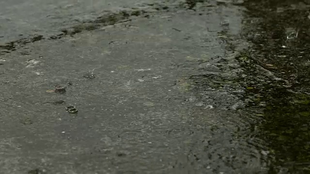 近距离观察人行道上的雨滴视频素材