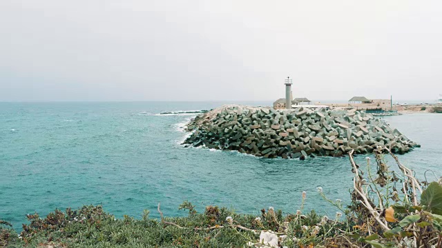 美丽宁静的海上灯塔，海岸边有草视频素材