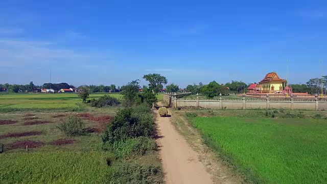 跟在两轮拖拉机后面，载着沉重的稻草穿过稻田视频素材